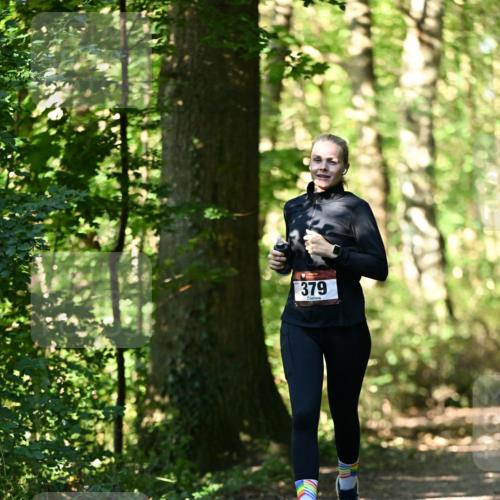 06.10.2024 - Bramfelder Halbmarathon 2024 Dr. Thomas Lammeyer http://msf.ph/oto/7338481 06.10.2024 10:27:11 Laufen 379 meine-sportfotos.de