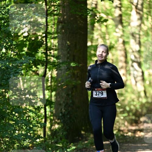 06.10.2024 - Bramfelder Halbmarathon 2024 Dr. Thomas Lammeyer http://msf.ph/oto/7338482 06.10.2024 10:27:11 Laufen 379 meine-sportfotos.de