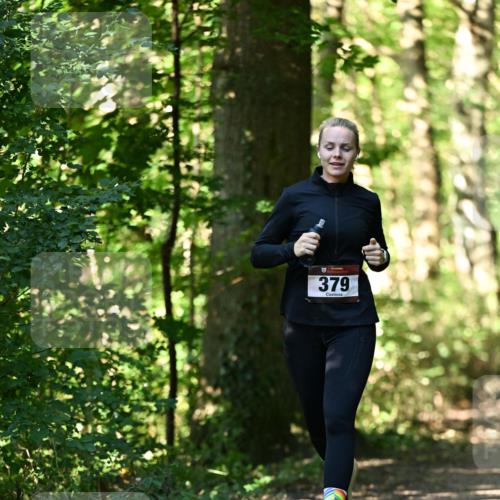 06.10.2024 - Bramfelder Halbmarathon 2024 Dr. Thomas Lammeyer http://msf.ph/oto/7338484 06.10.2024 10:27:11 Laufen 379 meine-sportfotos.de