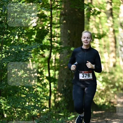 06.10.2024 - Bramfelder Halbmarathon 2024 Dr. Thomas Lammeyer http://msf.ph/oto/7338485 06.10.2024 10:27:11 Laufen 379 meine-sportfotos.de