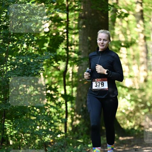 06.10.2024 - Bramfelder Halbmarathon 2024 Dr. Thomas Lammeyer http://msf.ph/oto/7338486 06.10.2024 10:27:11 Laufen 379 meine-sportfotos.de