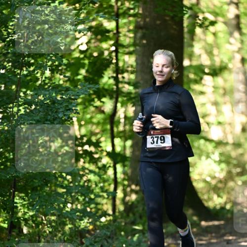 06.10.2024 - Bramfelder Halbmarathon 2024 Dr. Thomas Lammeyer http://msf.ph/oto/7338487 06.10.2024 10:27:11 Laufen 379 meine-sportfotos.de