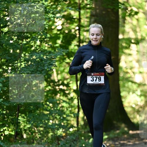 06.10.2024 - Bramfelder Halbmarathon 2024 Dr. Thomas Lammeyer http://msf.ph/oto/7338489 06.10.2024 10:27:12 Laufen 379 meine-sportfotos.de