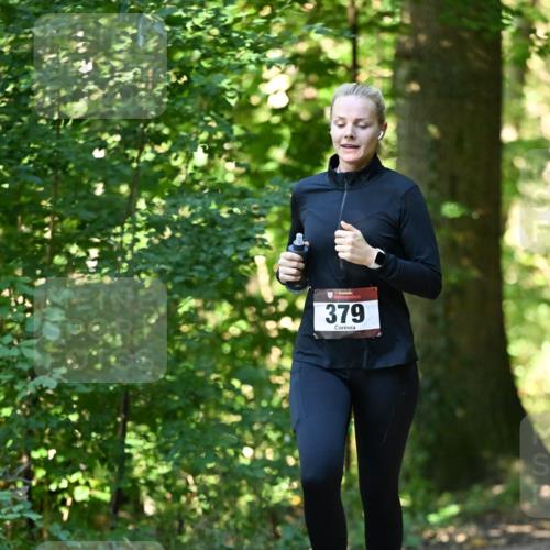 06.10.2024 - Bramfelder Halbmarathon 2024 Dr. Thomas Lammeyer http://msf.ph/oto/7338491 06.10.2024 10:27:12 Laufen 379 meine-sportfotos.de