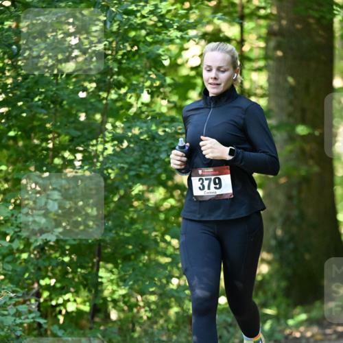 06.10.2024 - Bramfelder Halbmarathon 2024 Dr. Thomas Lammeyer http://msf.ph/oto/7338492 06.10.2024 10:27:12 Laufen 379 meine-sportfotos.de