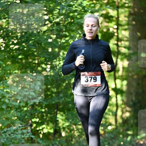 06.10.2024 - Bramfelder Halbmarathon 2024 Dr. Thomas Lammeyer http://msf.ph/oto/7338494 06.10.2024 10:27:12 Laufen 379 meine-sportfotos.de