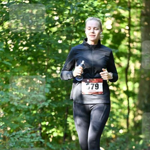 06.10.2024 - Bramfelder Halbmarathon 2024 Dr. Thomas Lammeyer http://msf.ph/oto/7338495 06.10.2024 10:27:13 Laufen 379 meine-sportfotos.de