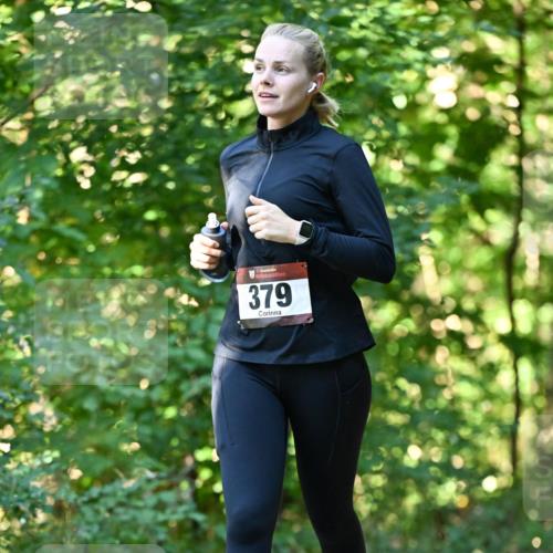 06.10.2024 - Bramfelder Halbmarathon 2024 Dr. Thomas Lammeyer http://msf.ph/oto/7338497 06.10.2024 10:27:13 Laufen 379 meine-sportfotos.de