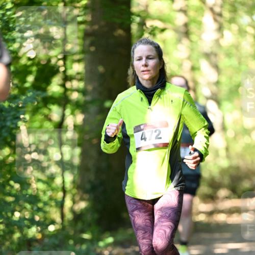 06.10.2024 - Bramfelder Halbmarathon 2024 Dr. Thomas Lammeyer http://msf.ph/oto/7338539 06.10.2024 10:27:25 Laufen 472 meine-sportfotos.de