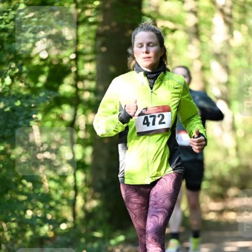 06.10.2024 - Bramfelder Halbmarathon 2024 Dr. Thomas Lammeyer http://msf.ph/oto/7338540 06.10.2024 10:27:25 Laufen 472 meine-sportfotos.de