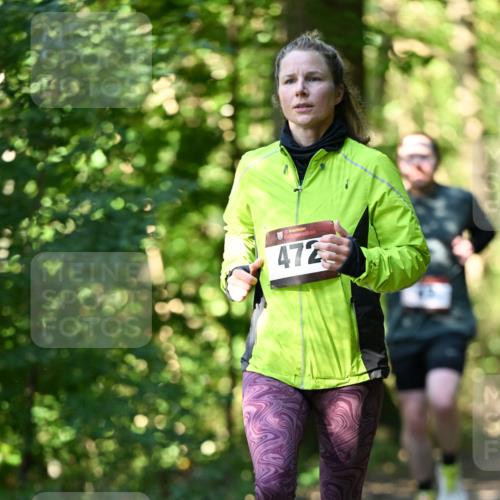 06.10.2024 - Bramfelder Halbmarathon 2024 Dr. Thomas Lammeyer http://msf.ph/oto/7338542 06.10.2024 10:27:26 Laufen 472 meine-sportfotos.de