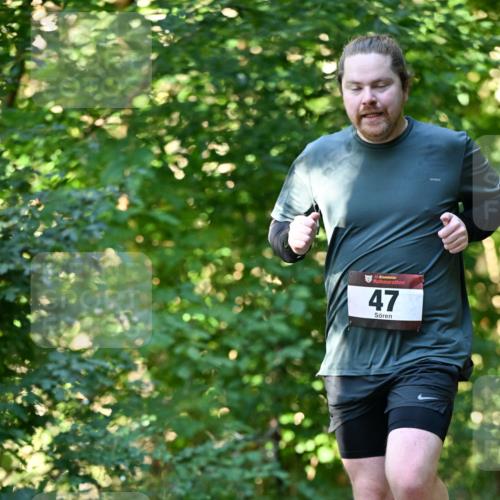 06.10.2024 - Bramfelder Halbmarathon 2024 Dr. Thomas Lammeyer http://msf.ph/oto/7338551 06.10.2024 10:27:28 Laufen 33, 47 meine-sportfotos.de