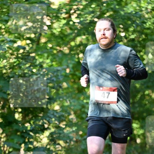 06.10.2024 - Bramfelder Halbmarathon 2024 Dr. Thomas Lammeyer http://msf.ph/oto/7338553 06.10.2024 10:27:28 Laufen 47 meine-sportfotos.de