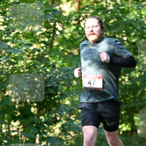 06.10.2024 - Bramfelder Halbmarathon 2024 Dr. Thomas Lammeyer http://msf.ph/oto/7338554 06.10.2024 10:27:28 Laufen 47 meine-sportfotos.de