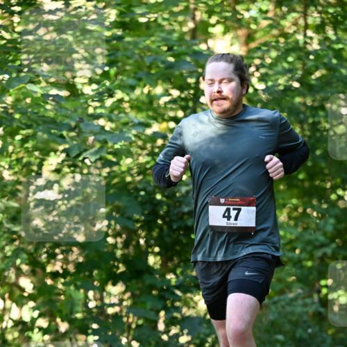 06.10.2024 - Bramfelder Halbmarathon 2024 Dr. Thomas Lammeyer http://msf.ph/oto/7338556 06.10.2024 10:27:29 Laufen 33, 47 meine-sportfotos.de