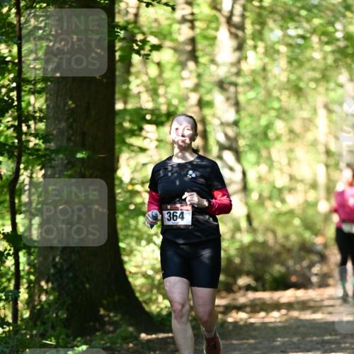 06.10.2024 - Bramfelder Halbmarathon 2024 Dr. Thomas Lammeyer http://msf.ph/oto/7338558 06.10.2024 10:27:40 Laufen 364 meine-sportfotos.de