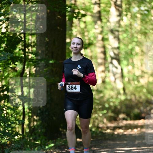 06.10.2024 - Bramfelder Halbmarathon 2024 Dr. Thomas Lammeyer http://msf.ph/oto/7338562 06.10.2024 10:27:41 Laufen 364 meine-sportfotos.de