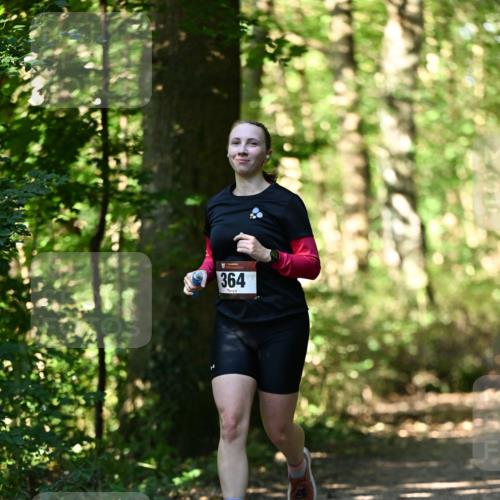 06.10.2024 - Bramfelder Halbmarathon 2024 Dr. Thomas Lammeyer http://msf.ph/oto/7338563 06.10.2024 10:27:41 Laufen 364 meine-sportfotos.de