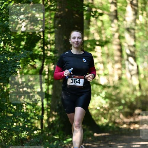 06.10.2024 - Bramfelder Halbmarathon 2024 Dr. Thomas Lammeyer http://msf.ph/oto/7338565 06.10.2024 10:27:41 Laufen 364 meine-sportfotos.de