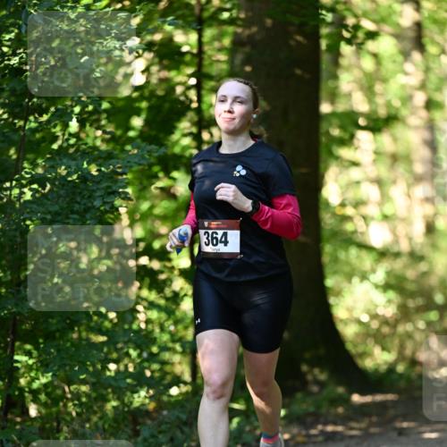 06.10.2024 - Bramfelder Halbmarathon 2024 Dr. Thomas Lammeyer http://msf.ph/oto/7338568 06.10.2024 10:27:41 Laufen 364 meine-sportfotos.de