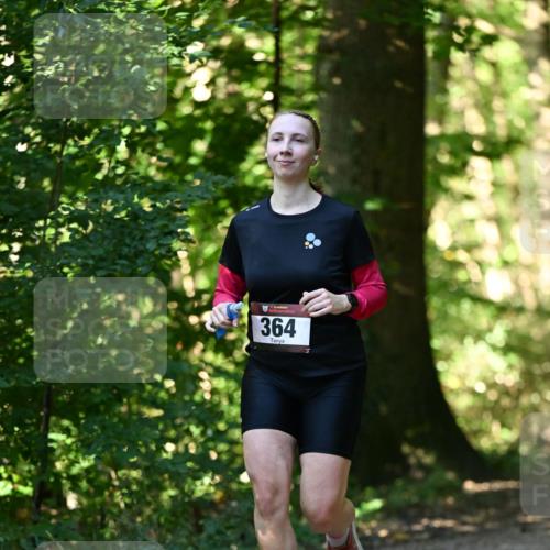 06.10.2024 - Bramfelder Halbmarathon 2024 Dr. Thomas Lammeyer http://msf.ph/oto/7338569 06.10.2024 10:27:42 Laufen 364 meine-sportfotos.de