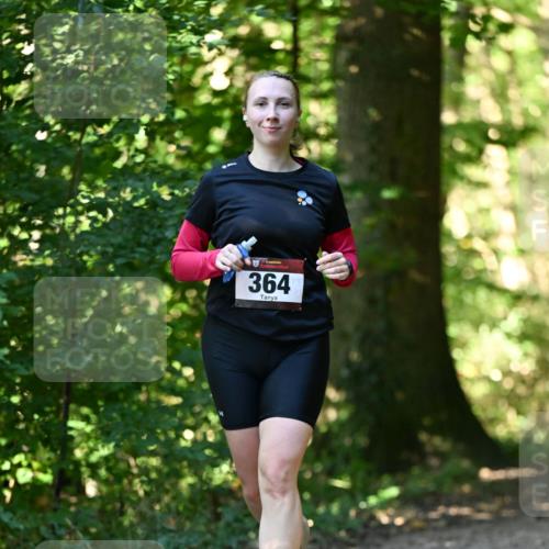 06.10.2024 - Bramfelder Halbmarathon 2024 Dr. Thomas Lammeyer http://msf.ph/oto/7338571 06.10.2024 10:27:42 Laufen 364 meine-sportfotos.de