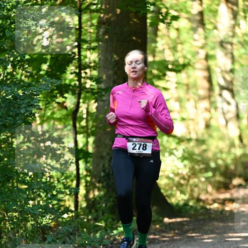 06.10.2024 - Bramfelder Halbmarathon 2024 Dr. Thomas Lammeyer http://msf.ph/oto/7338579 06.10.2024 10:27:47 Laufen 278 meine-sportfotos.de