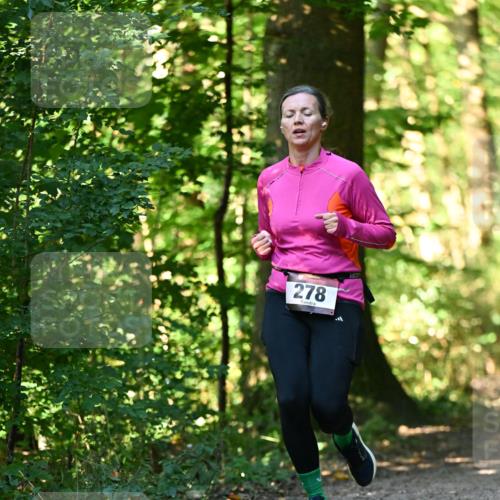 06.10.2024 - Bramfelder Halbmarathon 2024 Dr. Thomas Lammeyer http://msf.ph/oto/7338581 06.10.2024 10:27:48 Laufen 278 meine-sportfotos.de