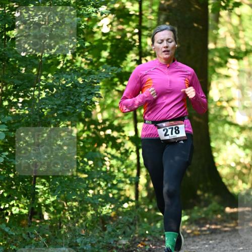 06.10.2024 - Bramfelder Halbmarathon 2024 Dr. Thomas Lammeyer http://msf.ph/oto/7338583 06.10.2024 10:27:48 Laufen 278 meine-sportfotos.de