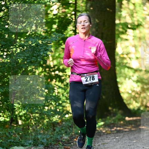 06.10.2024 - Bramfelder Halbmarathon 2024 Dr. Thomas Lammeyer http://msf.ph/oto/7338584 06.10.2024 10:27:48 Laufen 278 meine-sportfotos.de