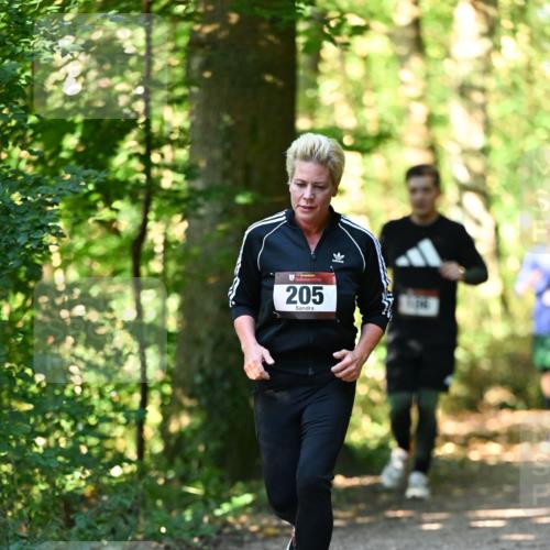06.10.2024 - Bramfelder Halbmarathon 2024 Dr. Thomas Lammeyer http://msf.ph/oto/7338588 06.10.2024 10:27:52 Laufen 205 meine-sportfotos.de