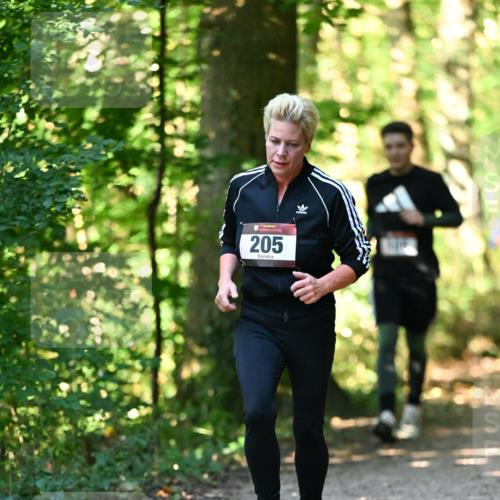 06.10.2024 - Bramfelder Halbmarathon 2024 Dr. Thomas Lammeyer http://msf.ph/oto/7338589 06.10.2024 10:27:52 Laufen 205 meine-sportfotos.de
