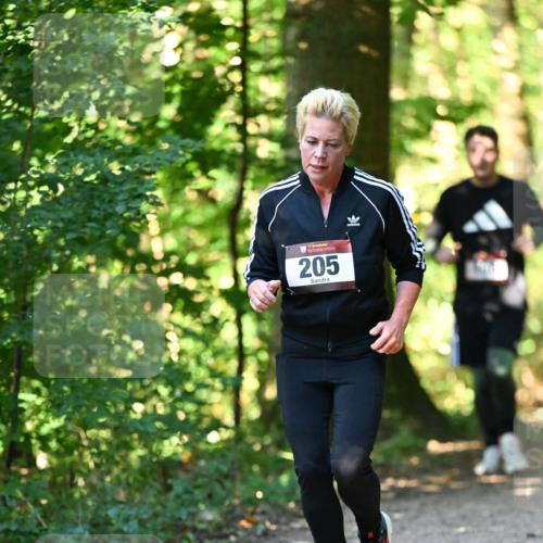 06.10.2024 - Bramfelder Halbmarathon 2024 Dr. Thomas Lammeyer http://msf.ph/oto/7338591 06.10.2024 10:27:53 Laufen 205 meine-sportfotos.de