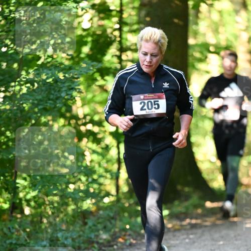06.10.2024 - Bramfelder Halbmarathon 2024 Dr. Thomas Lammeyer http://msf.ph/oto/7338592 06.10.2024 10:27:53 Laufen 205 meine-sportfotos.de