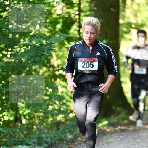 06.10.2024 - Bramfelder Halbmarathon 2024 Dr. Thomas Lammeyer http://msf.ph/oto/7338593 06.10.2024 10:27:53 Laufen 205 meine-sportfotos.de