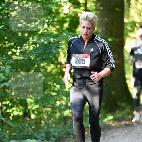 06.10.2024 - Bramfelder Halbmarathon 2024 Dr. Thomas Lammeyer http://msf.ph/oto/7338594 06.10.2024 10:27:53 Laufen 205 meine-sportfotos.de