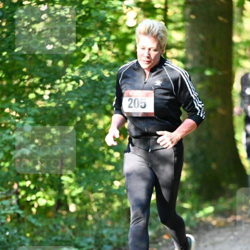 06.10.2024 - Bramfelder Halbmarathon 2024 Dr. Thomas Lammeyer http://msf.ph/oto/7338595 06.10.2024 10:27:53 Laufen 205 meine-sportfotos.de
