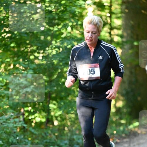 06.10.2024 - Bramfelder Halbmarathon 2024 Dr. Thomas Lammeyer http://msf.ph/oto/7338596 06.10.2024 10:27:53 Laufen 05 meine-sportfotos.de