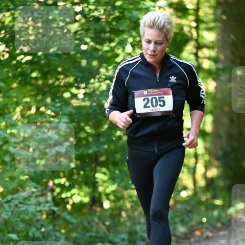 06.10.2024 - Bramfelder Halbmarathon 2024 Dr. Thomas Lammeyer http://msf.ph/oto/7338597 06.10.2024 10:27:53 Laufen 205 meine-sportfotos.de