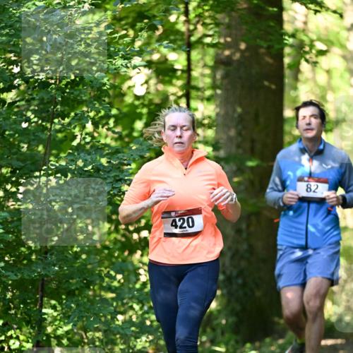 06.10.2024 - Bramfelder Halbmarathon 2024 Dr. Thomas Lammeyer http://msf.ph/oto/7338632 06.10.2024 10:28:08 Laufen 420, 82 meine-sportfotos.de