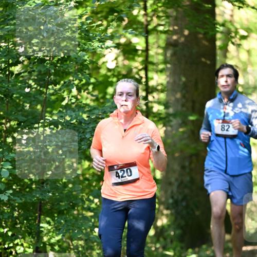 06.10.2024 - Bramfelder Halbmarathon 2024 Dr. Thomas Lammeyer http://msf.ph/oto/7338633 06.10.2024 10:28:09 Laufen 420, 82 meine-sportfotos.de