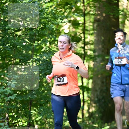 06.10.2024 - Bramfelder Halbmarathon 2024 Dr. Thomas Lammeyer http://msf.ph/oto/7338634 06.10.2024 10:28:09 Laufen 420, 82 meine-sportfotos.de