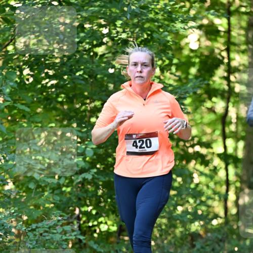 06.10.2024 - Bramfelder Halbmarathon 2024 Dr. Thomas Lammeyer http://msf.ph/oto/7338637 06.10.2024 10:28:09 Laufen 420 meine-sportfotos.de