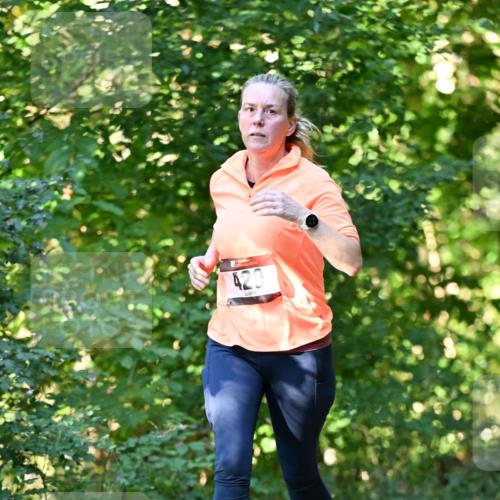 06.10.2024 - Bramfelder Halbmarathon 2024 Dr. Thomas Lammeyer http://msf.ph/oto/7338639 06.10.2024 10:28:09 Laufen 42 meine-sportfotos.de