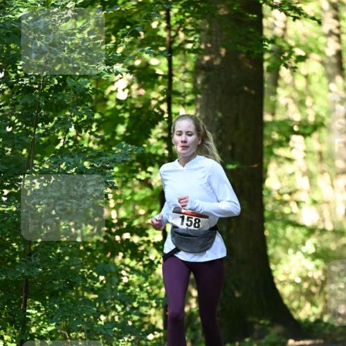 06.10.2024 - Bramfelder Halbmarathon 2024 Dr. Thomas Lammeyer http://msf.ph/oto/7338649 06.10.2024 10:28:13 Laufen 158 meine-sportfotos.de