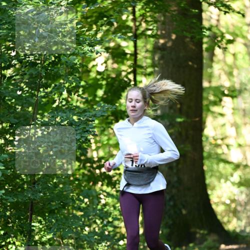 06.10.2024 - Bramfelder Halbmarathon 2024 Dr. Thomas Lammeyer http://msf.ph/oto/7338650 06.10.2024 10:28:13 Laufen 13 meine-sportfotos.de