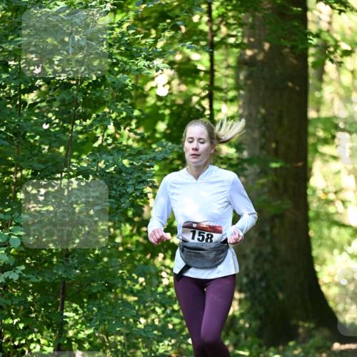 06.10.2024 - Bramfelder Halbmarathon 2024 Dr. Thomas Lammeyer http://msf.ph/oto/7338651 06.10.2024 10:28:13 Laufen 158 meine-sportfotos.de