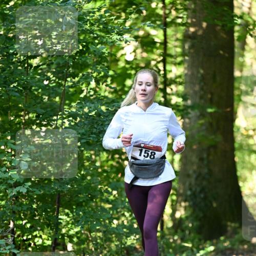 06.10.2024 - Bramfelder Halbmarathon 2024 Dr. Thomas Lammeyer http://msf.ph/oto/7338652 06.10.2024 10:28:14 Laufen 158 meine-sportfotos.de