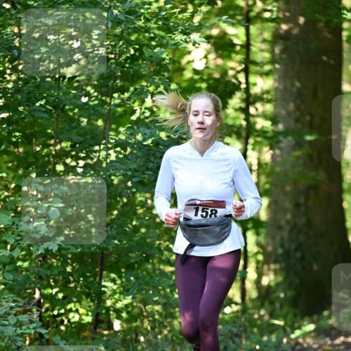 06.10.2024 - Bramfelder Halbmarathon 2024 Dr. Thomas Lammeyer http://msf.ph/oto/7338653 06.10.2024 10:28:14 Laufen 158 meine-sportfotos.de