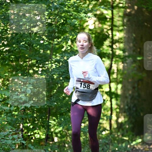 06.10.2024 - Bramfelder Halbmarathon 2024 Dr. Thomas Lammeyer http://msf.ph/oto/7338654 06.10.2024 10:28:14 Laufen 158 meine-sportfotos.de